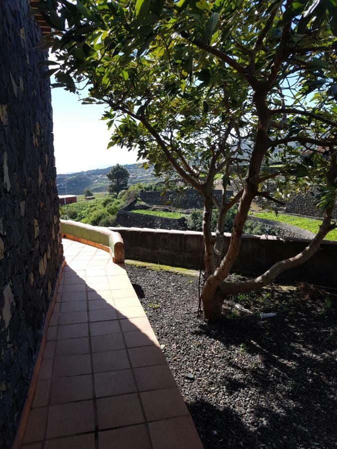 Buenavista de Abajo La Sabana旅馆 外观 照片